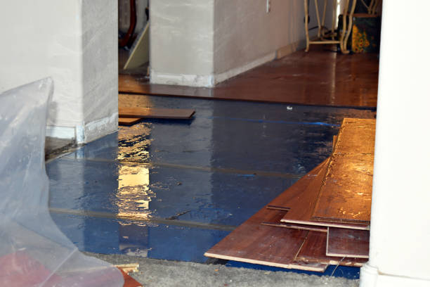 Professional Emergency Water Damage Restoration technician working in Allenton, MI